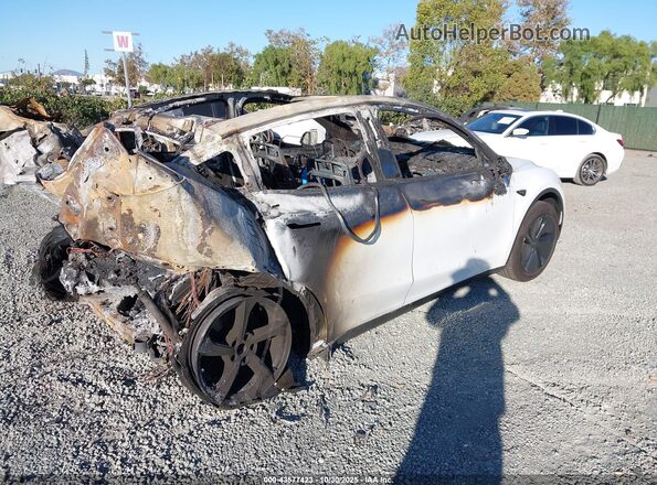 7SAYGDED2TF399701 2026 TESLA MODEL Y White Tył prawy