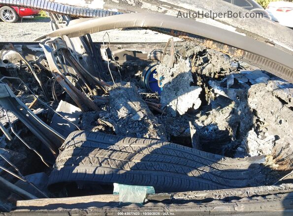 7SAYGDED2TF399701 2026 TESLA MODEL Y White Widok wnętrza z przodu