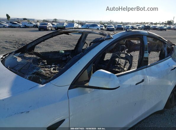 7SAYGDED2TF399701 2026 TESLA MODEL Y White Widok z przodu