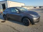 2025 Tesla Model Y Серый vin: 7SAYGDEEXSF281368