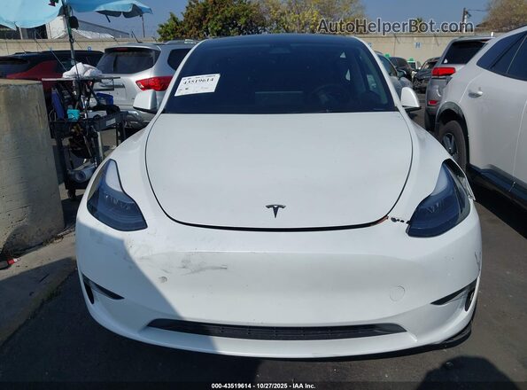 7SAYGDEF9SF304440 2025 TESLA MODEL Y Белый Вид щитка приборов