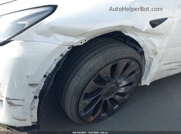 7SAYGDEF9SF304440 2025 TESLA MODEL Y Белый 