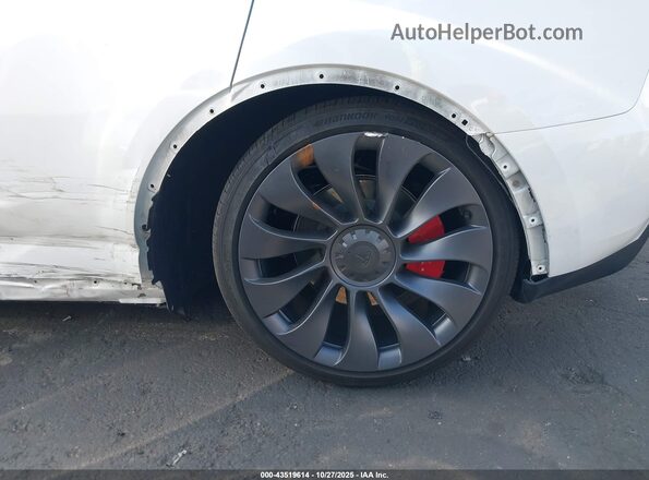 7SAYGDEF9SF304440 2025 TESLA MODEL Y Белый 