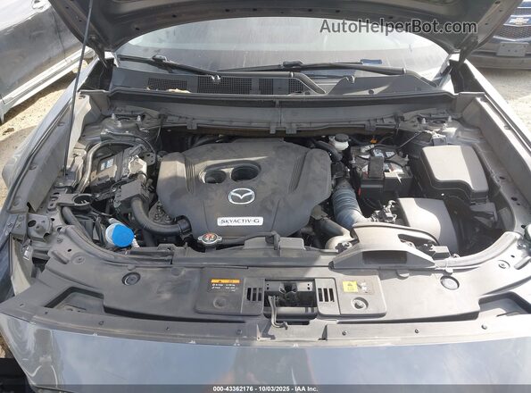 JM3TCACY8L0421214 2020 MAZDA CX-9 Серый Вид сзади