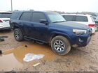 2023 Toyota 4runner Sr5 Blue vin: JTEEU5JR0P5285196