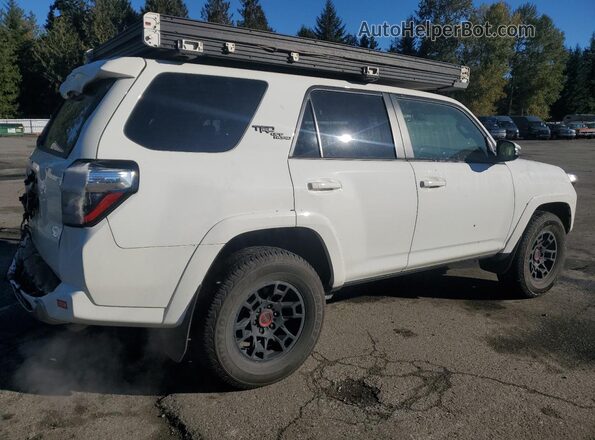 JTERU5JR0R6275993 2024 TOYOTA 4RUNNER Белый Задняя правая четверть