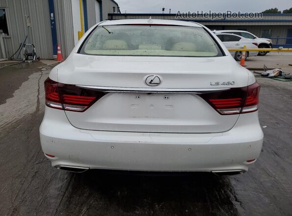 JTHBL5EF4H5144531 2017 LEXUS LS Белый Вид сзади