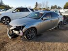 2019 Lexus Is 350 Gray vin: JTHCZ1D2XK5016778