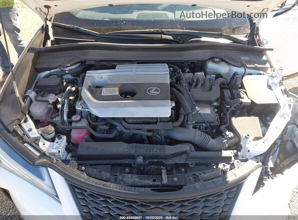 JTHE9JBH4M2049487 2021 LEXUS UX 250H Белый Вид сзади