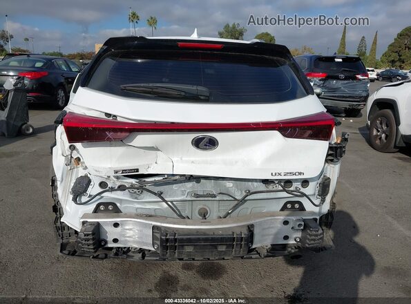 JTHE9JBHXL2034295 2020 LEXUS UX 250H Белый 