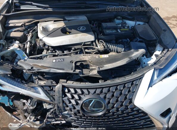 JTHP3JBH4M2033946 2021 LEXUS UX 200 White Հետևի տեսք