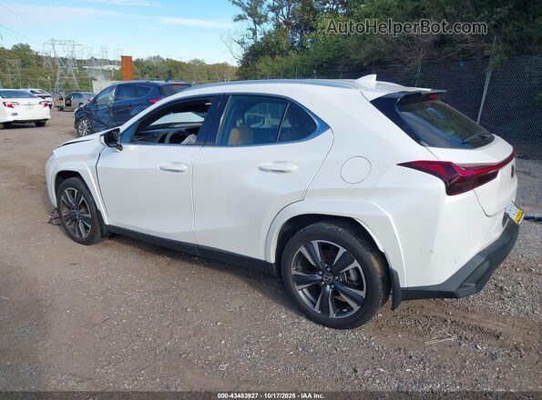 JTHP9JBH1R2072113 2024 LEXUS UX 250H White Հետևի ձախ