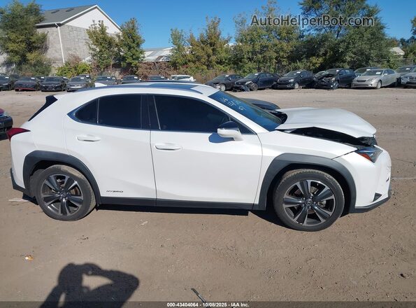 JTHP9JBH2L2035935 2020 LEXUS UX 250H Белый Вид задней части салона