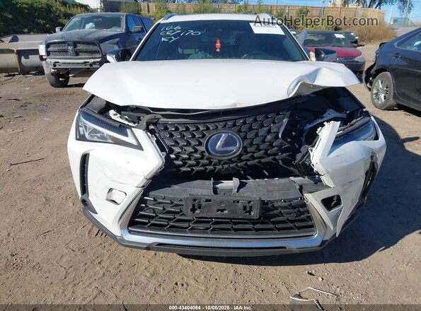 JTHP9JBH2L2035935 2020 LEXUS UX 250H Белый Вид щитка приборов