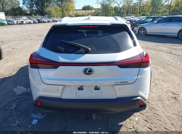 JTHP9JBH2L2035935 2020 LEXUS UX 250H Белый 