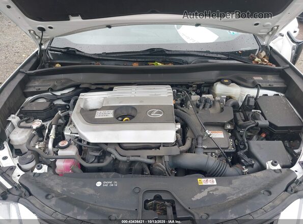 JTHP9JBH4L2025147 2020 LEXUS UX 250H White Widok z tyłu