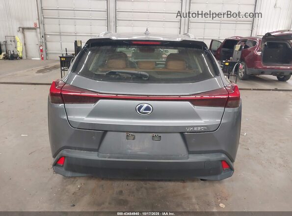 JTHP9JBH5L2027411 2020 LEXUS UX 250H Gray 