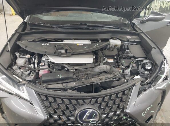 JTHP9JBH5L2027411 2020 LEXUS UX 250H Gray Widok z tyłu