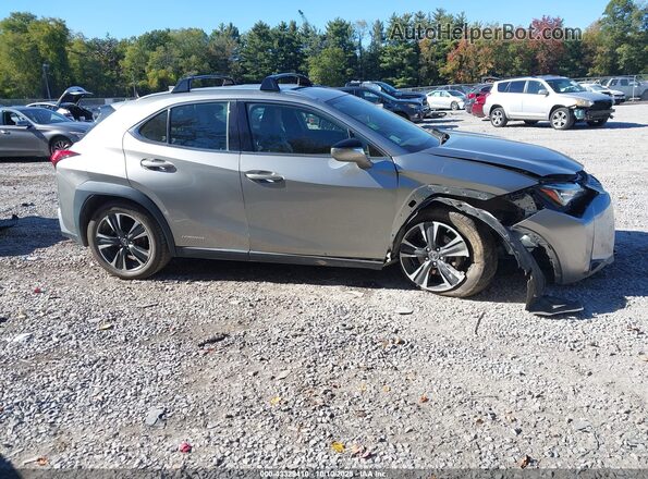 JTHP9JBH6L2027143 2020 LEXUS UX 250H Pewter Вид задней части салона