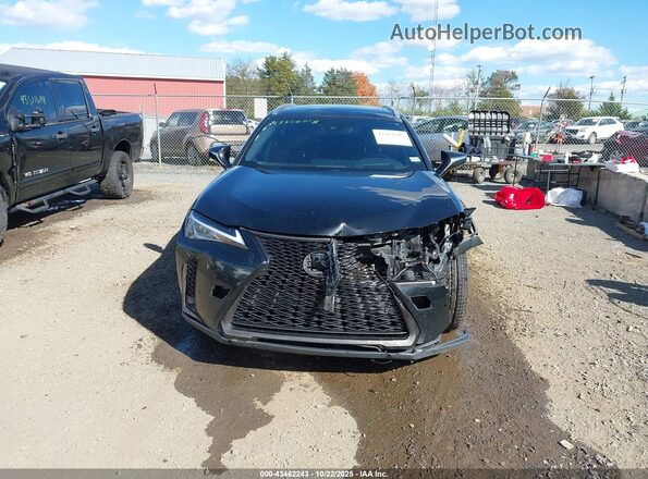 JTHR9JBH1M2044815 2021 LEXUS UX 250H Черный Вид задней части салона