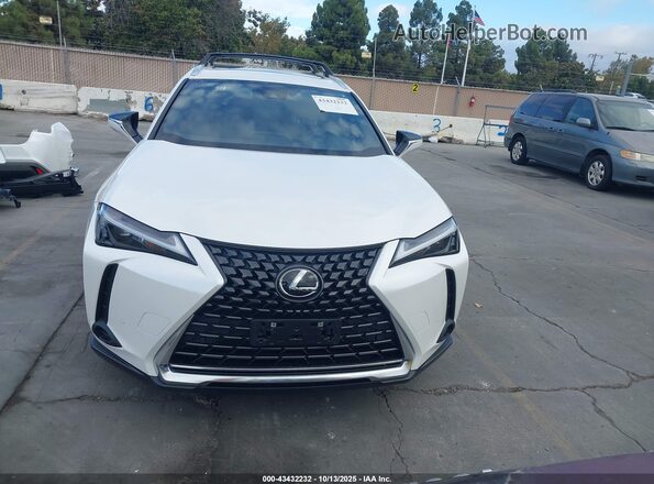 JTHX6JBH2R2163545 2024 LEXUS UX 250H White Вид задньої частини салону