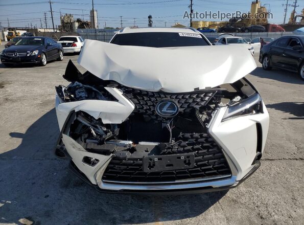 JTHX6JBH8R2191253 2024 LEXUS UX Белый Вид спереди