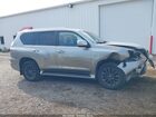 2021 Lexus Gx 460 Premium Серый vin: JTJAM7BX9M5281815