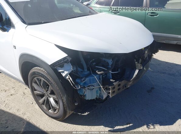 JTJBARBZ1G2078305 2016 LEXUS NX 200T Белый Вид спереди
