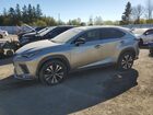 2019 Lexus Nx 300 Base Gray vin: JTJBARBZ8K2210114