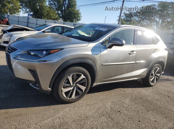 JTJBARBZ9K2198331 2019 LEXUS NX Серебряный Задняя левая четверть