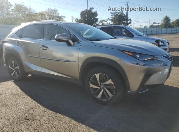 JTJBARBZ9K2198331 2019 LEXUS NX Серебряный Вид спереди