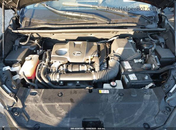 JTJBARBZXK2192618 2019 LEXUS NX 300 Черный Вид сзади