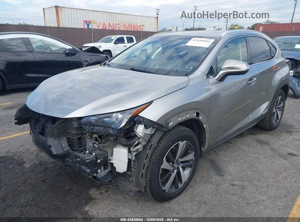 JTJBJRBZ3K2116433 2019 LEXUS NX 300H Champagne Przód lewy