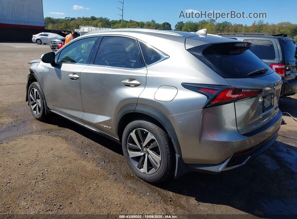 JTJBJRBZ4J2085661 2018 LEXUS NX 300H Серый Задняя левая четверть