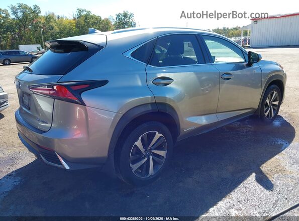 JTJBJRBZ4J2085661 2018 LEXUS NX 300H Серый Задняя правая четверть