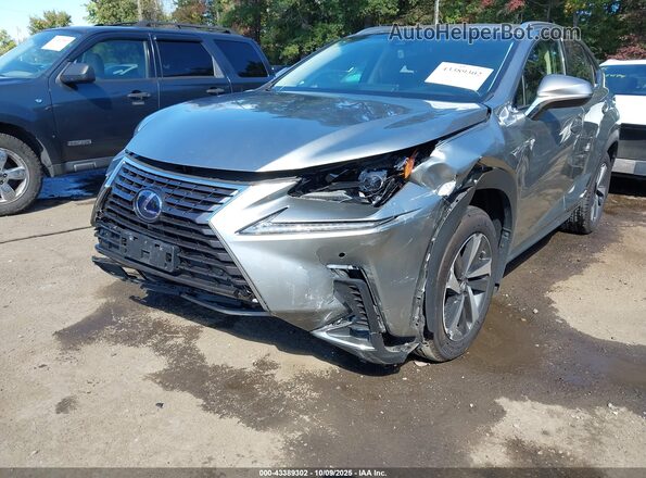 JTJBJRBZ4J2085661 2018 LEXUS NX 300H Серый Вид спереди