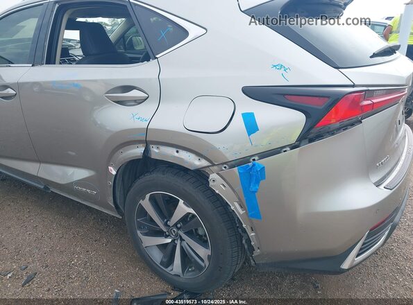 JTJBJRBZ9K2115299 2019 LEXUS NX 300H Серебряный Вид спереди