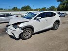 2020 Lexus Nx 300 White vin: JTJDARBZ3L2161057