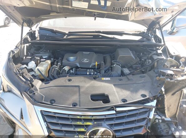 JTJDARDZ0M2258649 2021 LEXUS NX 300 Silver Widok z tyłu
