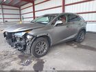 2020 Lexus Nx 300   Gray vin: JTJDARDZ2L5004809