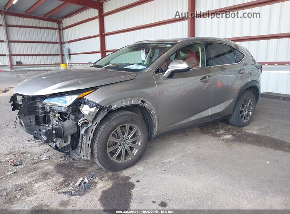 JTJDARDZ2L5004809 2020 LEXUS NX 300 Gray Vista tres cuartos delantera izquierda