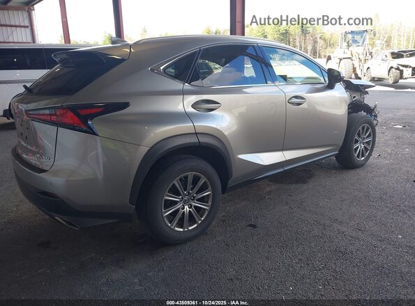 JTJDARDZ2L5004809 2020 LEXUS NX 300 Gray Trasero derecho