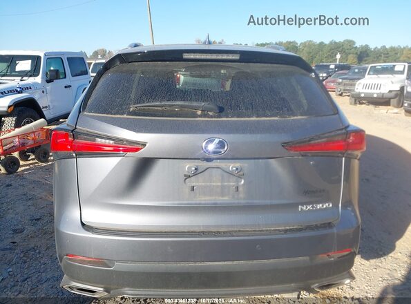 JTJDARDZ6M2261748 2021 LEXUS NX 300 Gray 