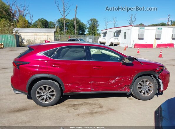 JTJDARDZ7M5028296 2021 LEXUS NX 300 Красный Вид задней части салона