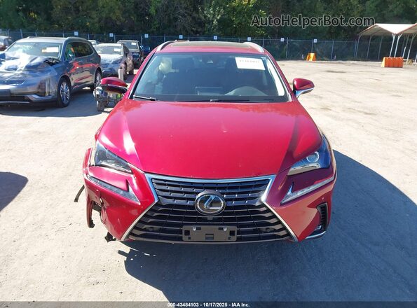 JTJDARDZ7M5028296 2021 LEXUS NX 300 Красный Вид щитка приборов