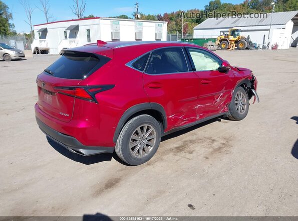 JTJDARDZ7M5028296 2021 LEXUS NX 300 Красный Задняя правая четверть