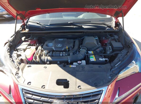 JTJDARDZ7M5028296 2021 LEXUS NX 300 Красный Вид сзади