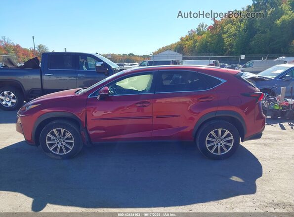 JTJDARDZ7M5028296 2021 LEXUS NX 300 Красный Панорамный вид салона 360°