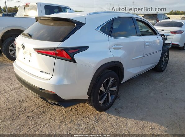 JTJGARBZ1L5019558 2020 LEXUS NX 300 Белый Задняя правая четверть