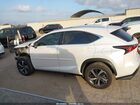 2020 Lexus Nx 300   Белый vin: JTJGARBZ1L5019558